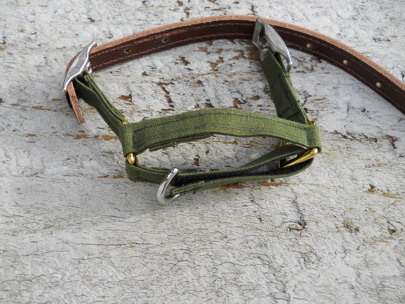Pu&ograve; includere: Un collare per cani verde oliva con cinturino in pelle marrone e finiture argentate. Il collare presenta una sezione in tessuto con dettagli dorati e un anello di metallo. Lo sfondo &egrave; una superficie di legno bianco.