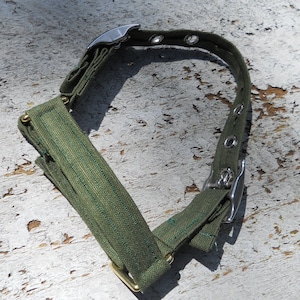 May include: A green canvas dog collar with a silver buckle and brass hardware. The collar has multiple rows of stitching and is designed for a dog's neck.