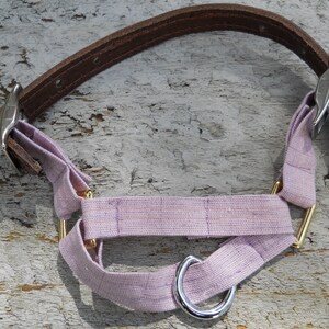 Pu&ograve; includere: Un collare per cani con un cinturino in pelle marrone e una sezione in tessuto lavanda. Il collare ha elementi metallici color argento e un anello in metallo dorato per l'attacco del guinzaglio. Il tessuto ha una trama sottile.