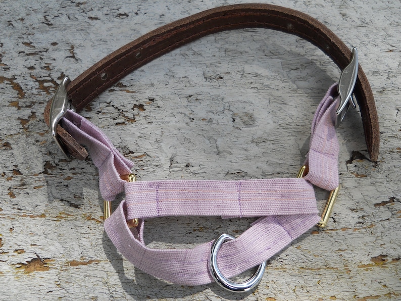 Pu&ograve; includere: Un collare per cani con un cinturino in pelle marrone e una sezione in tessuto lavanda. Il collare ha elementi metallici color argento e un anello in metallo dorato per l'attacco del guinzaglio. Il tessuto ha una trama sottile.