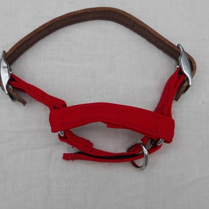 Pu&ograve; includere: Un capezza rosso e marrone per cavalli. Il capezza presenta una parte superiore in pelle marrone e un nasello e guanciali in tessuto rosso. L'hardware in metallo color argento collega i pezzi.