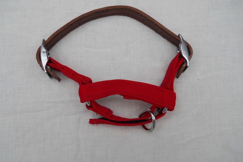 Pu&ograve; includere: Un capezza rosso e marrone per cavalli. Il capezza presenta una parte superiore in pelle marrone e un nasello e guanciali in tessuto rosso. L'hardware in metallo color argento collega i pezzi.