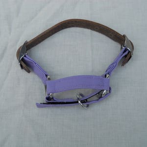 Adjustable lightweight Nigerian Dwarf goat halter