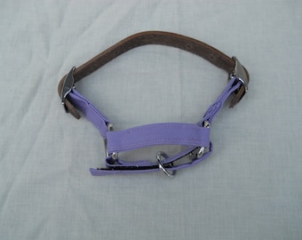 Adjustable lightweight Nigerian Dwarf goat halter