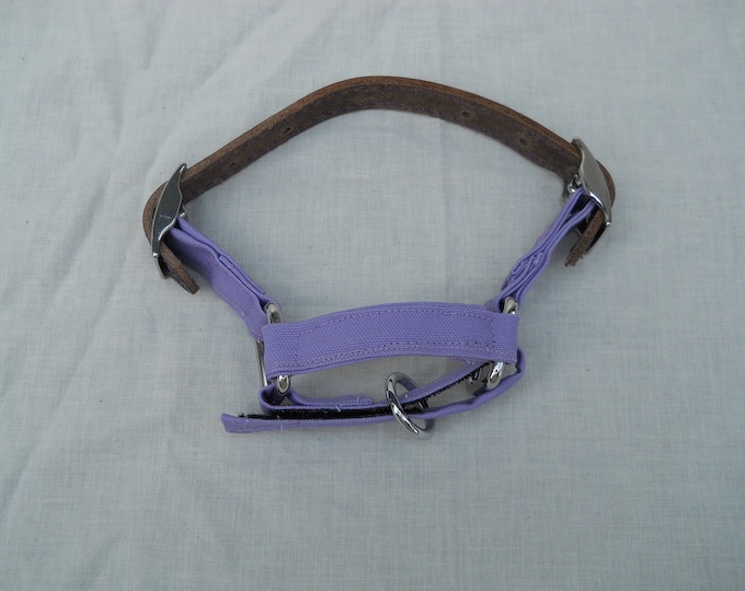 Featured listing image: Adjustable lightweight Nigerian Dwarf goat halter