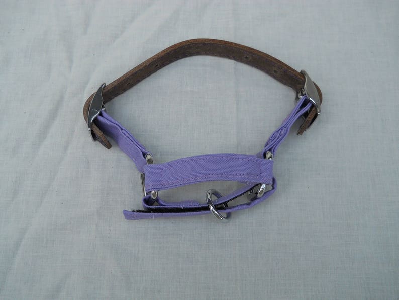 Pu&ograve; includere: Un collare per cani lavanda con cinturino superiore in pelle marrone e ferramenta in metallo color argento. Il collare ha una sezione in tessuto e un anello di metallo per l'attacco del guinzaglio. Il collare &egrave; progettato per adattarsi al collo di un cane.