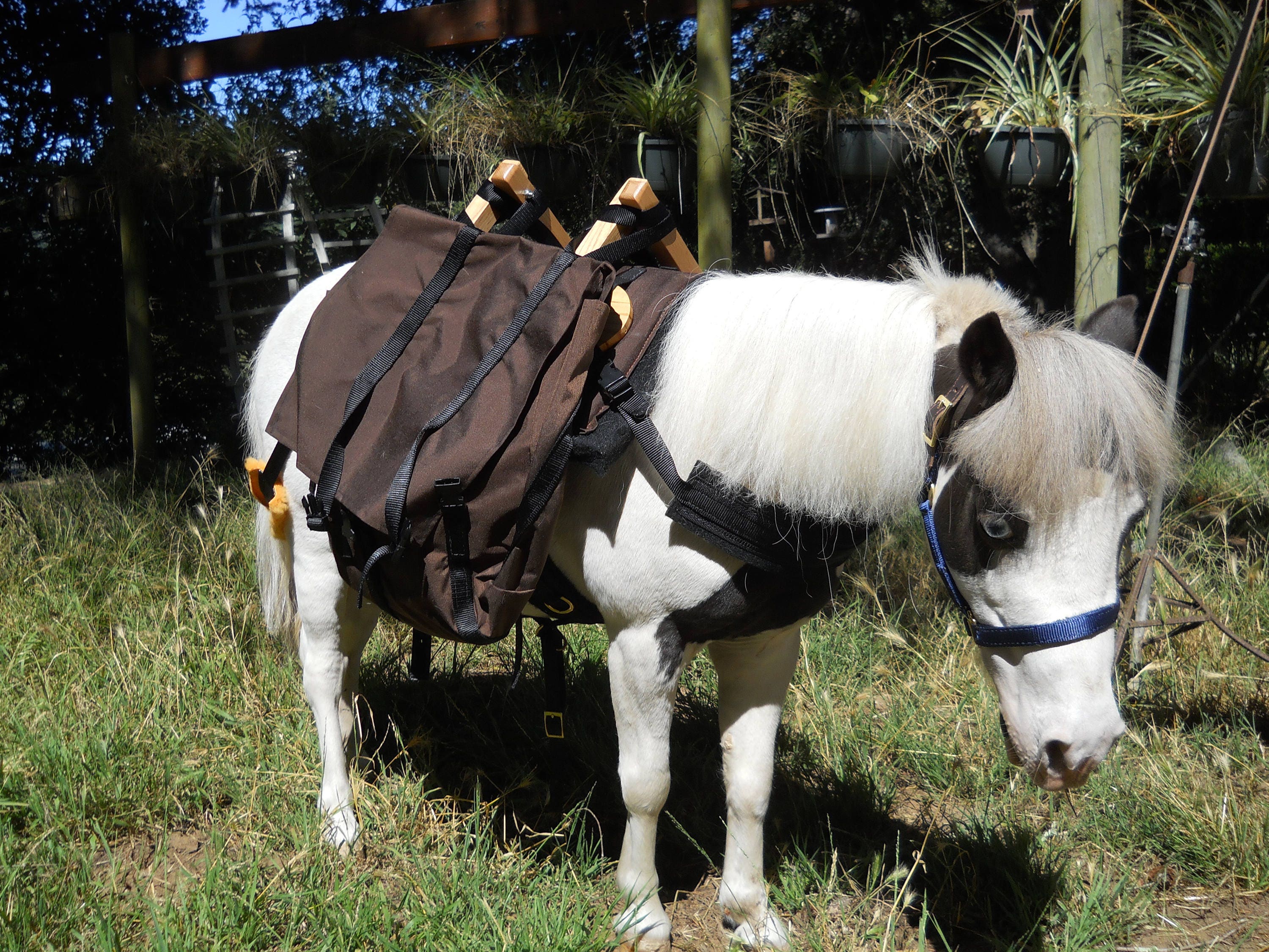 Mini Horse Pack Saddle Large , Adjustable
