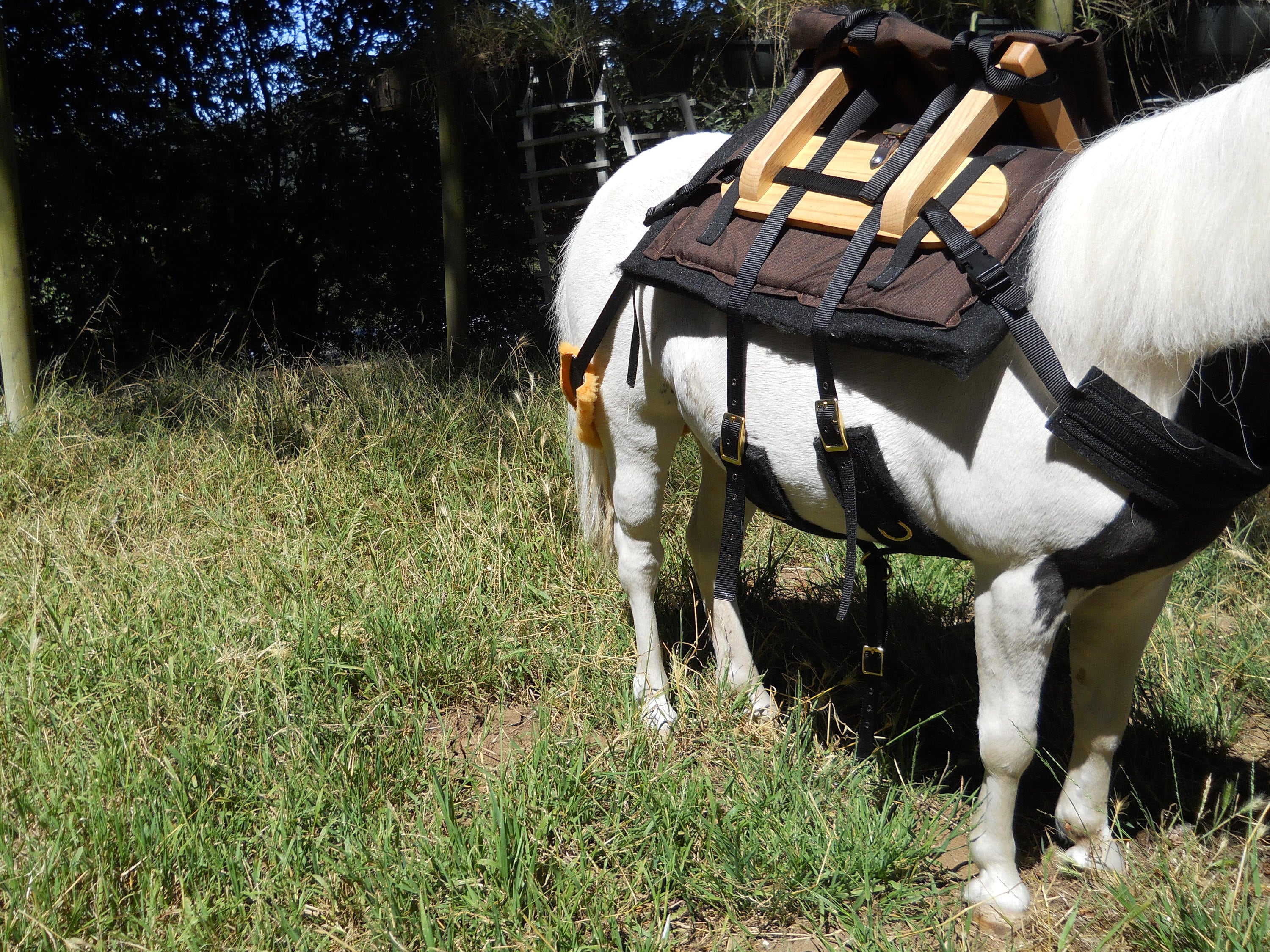 Mini Horse Pack Saddle Large Adjustable Etsy UK