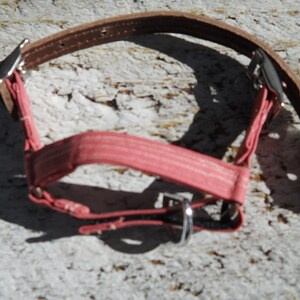 Pu&ograve; includere: Un collare per cani con una sezione in tessuto rosa a righe bianche, collegata a un cinturino in pelle marrone. Il collare ha elementi metallici color argento, tra cui una fibbia e punti di attacco.
