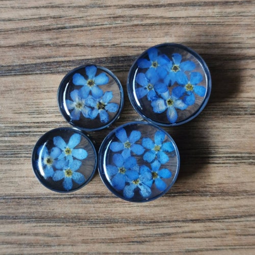 Pressed Flower Plugs. FOR PAIR. 8mm and Up | Etsy