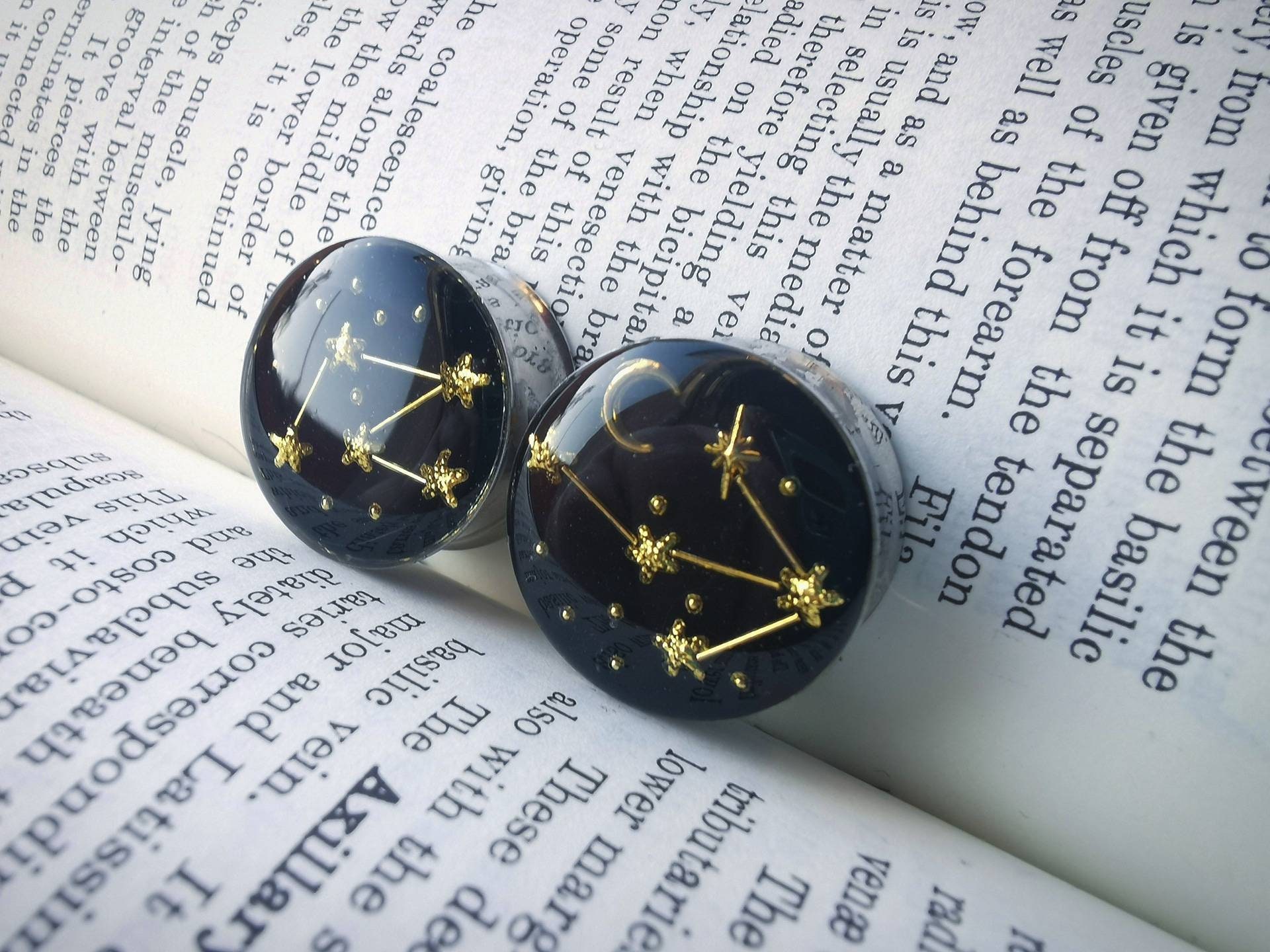 Constellation plugs, 10mm and up. FOR PAIR.