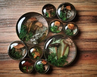 Enchanted forest, moss and mushrooms plugs. FOR PAIR. 10mm and up