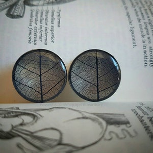 以下が含まれることがあります： 葉っぱの模様が押された、丸い透明な樹脂製のイヤーゲージのペア。葉っぱは濃いグレーで、背景は薄いグレー。ゲージは白い表面の上に置かれている。