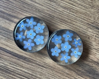 Pressed flower plugs, forget me not plugs. FOR PAIR. 10mm and up