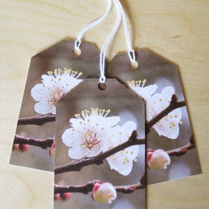Lot de 3 étiquettes-cadeaux Blossom