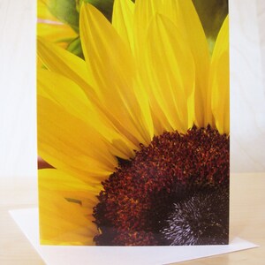 Sonnenblume Grußkarte 5" x 7" (12,7 cm x 17,8 cm) Nahaufnahme