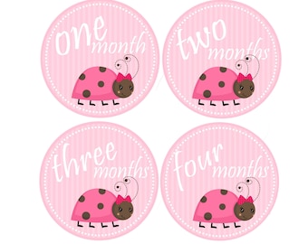 Ladybug Monthly Stickers Ladybug Stickers Red Black Ladybug Nursery Decor Baby Month Sticker Black and Red Infant Photo Props 423