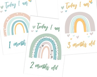 Printable Rainbow Baby Month Cards, Baby Milestones, Girl Month Cards, Baby Milestones Set, Flowers, Digital DIY