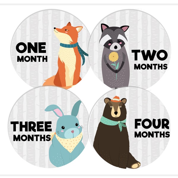 Monthly Baby Sticker - Etsy