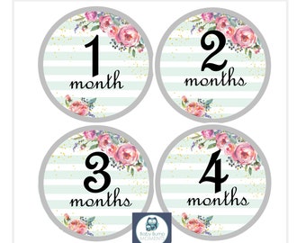 Printable Monthly Baby Stickers for Months 1- 12, Floral Baby Stickers