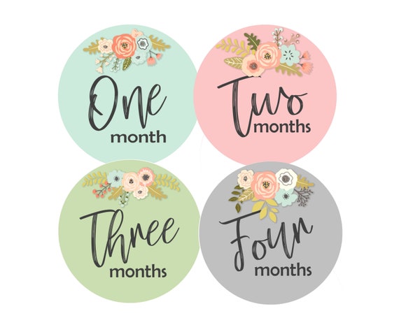 PRINTABLE Baby Girl Month Stickers, Milestone Month Stickers