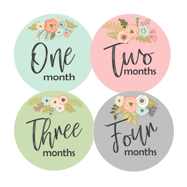 PRINTABLE Baby Girl Month Stickers, Milestone Month Stickers, Month Stickers Girl, Floral DIY Printable