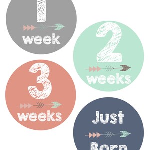 Monthly Baby Stickers, Baby Photo Props, Baby Monthly Milestone Cards for First Year, Milestone Stickers, Black and White, Floral image 4