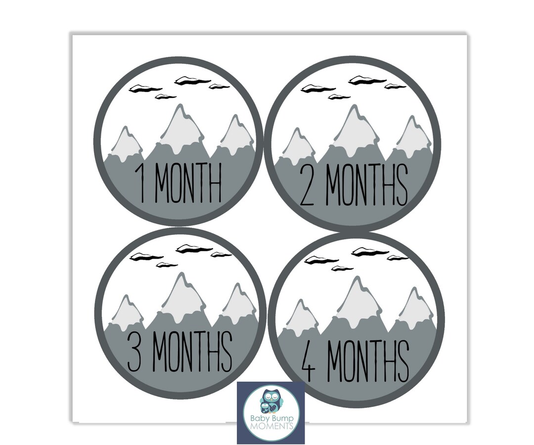 Printable Milestone Stickers Monthly Baby Stickers Digital - Etsy