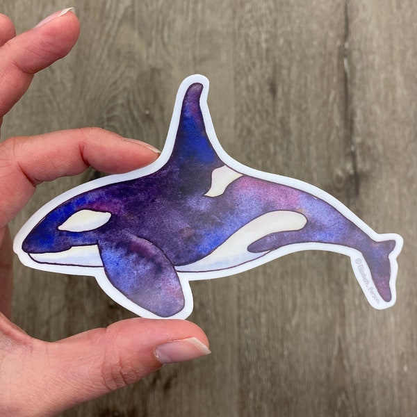 Orca Whale Watercolor Killer Whale Vinyl Sticker for Computer Car Laptop Water bottle Kayak