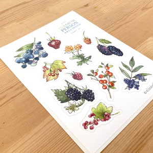 Feuille d'autocollants de baies