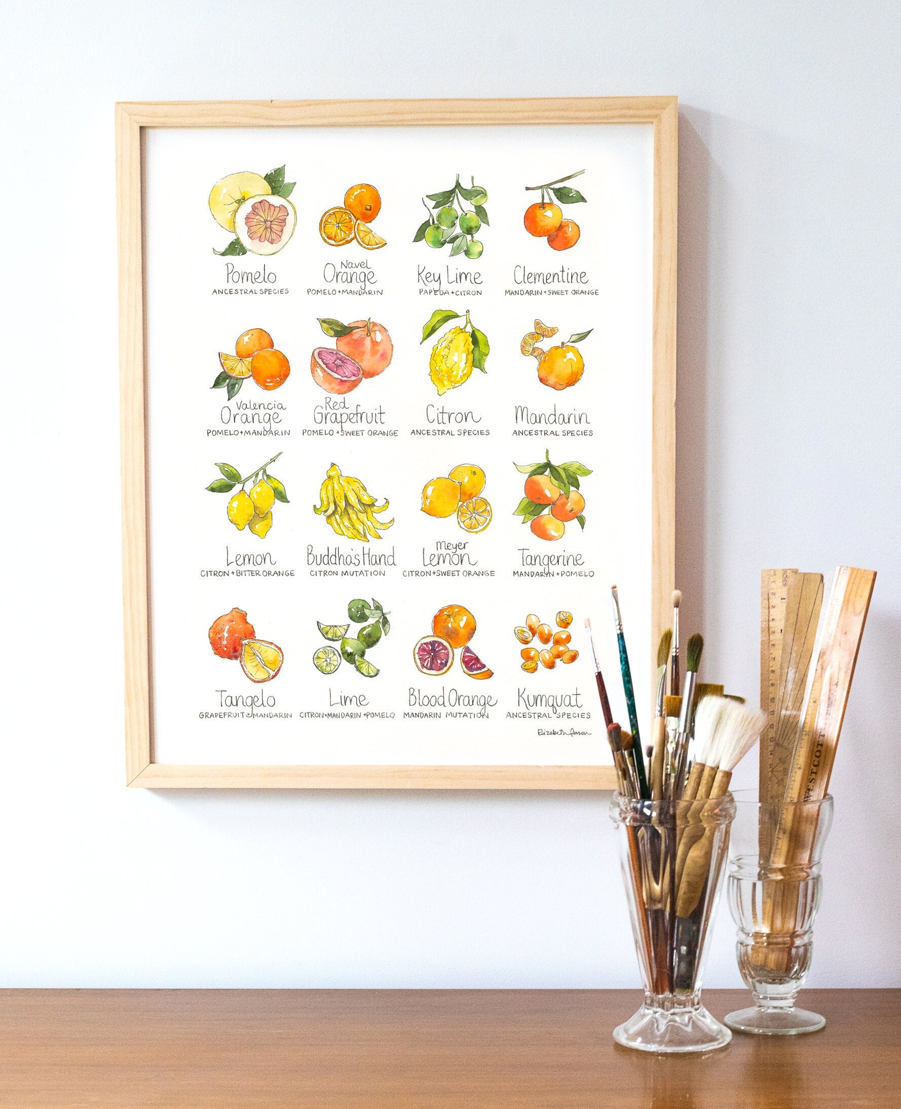 Citrus Chart Watercolor Art Print Cheerful Decor for Home Kitchen