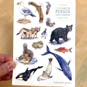 PNW Tiere Sticker Bogen PNW Orca Buckelwal Otter Koyote Möwe Weißkopfseeadler Frosch Lachs Aquarell Sticker Sammlung