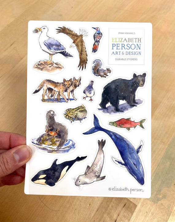 PNW Animals Sticker Sheet PNW Orca Humpback Whale Otter Coyote Seagull Bald Eagle Frog Salmon Watercolor Sticker Collection