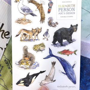May include: A sheet of durable stickers featuring watercolor illustrations of Pacific Northwest animals. Includes a seagull, eagle, woodpecker, squirrel, wolves, bear, otter, frog, salmon, orca, seal, and whale. The text "PNW ANIMALS" and "ELIZABETH PERSON ART & DESIGN" are visible.