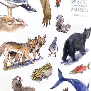 May include: A collection of watercolor stickers featuring various animals, including a bald eagle, squirrel, bear, and whale. The stickers are designed by Elizabeth Person Art & Design and are labeled as durable.