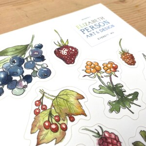 May include: A sheet of stickers featuring watercolor illustrations of various berries and flowers. The stickers are printed on white paper and have a glossy finish. The text "ELIZABETH PERSON ART & DESIGN EVERETT, WA" is printed in the top right corner.