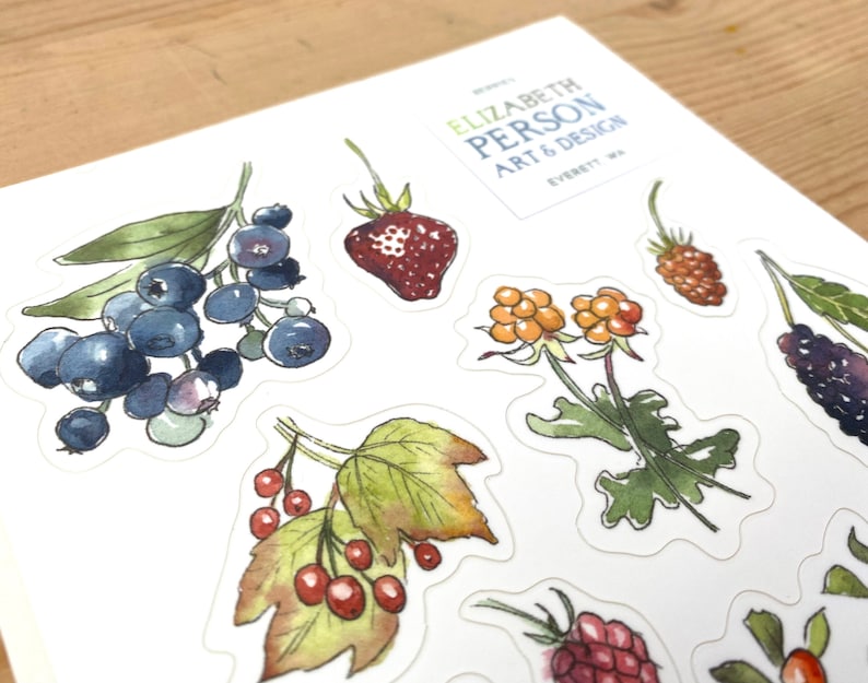 May include: A sheet of stickers featuring watercolor illustrations of various berries and flowers. The stickers are printed on white paper and have a glossy finish. The text "ELIZABETH PERSON ART & DESIGN EVERETT, WA" is printed in the top right corner.
