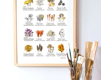 Mushroom Chart Watercolor Art Print Cheerful Decor for Home Kitchen PNW Pacific Northwest Mushrooms Oyster Chanterelle Morel Wall Art Poster