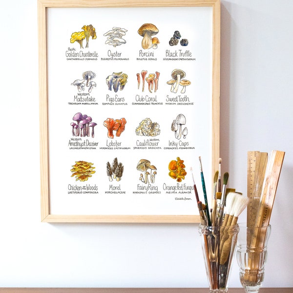 Mushroom Chart Watercolor Art Print Cheerful Decor for Home Kitchen PNW Pacific Northwest Mushrooms Oyster Chanterelle Morel Wall Art Poster