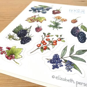 May include: A sheet of stickers featuring watercolor illustrations of various berries and leaves. The stickers include blackberries, blueberries, red currants, and other berries. The text "ELIZABETH PERSON ART & DESIGN" is printed in the top right corner of the sheet.