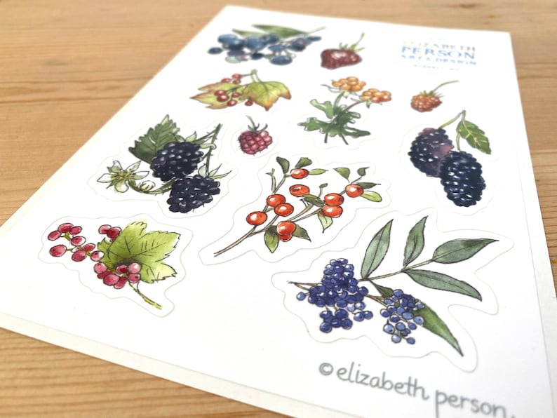 May include: A sheet of stickers featuring watercolor illustrations of various berries and leaves. The stickers include blackberries, blueberries, red currants, and other berries. The text "ELIZABETH PERSON ART & DESIGN" is printed in the top right corner of the sheet.
