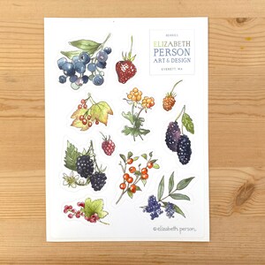May include: A sheet of stickers featuring watercolor illustrations of various berries, including blueberries, raspberries, blackberries, and strawberries. The stickers are labeled "Berries Elizabeth Person Art & Design Everett, WA".