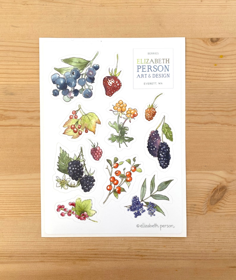 May include: A sheet of stickers featuring watercolor illustrations of various berries, including blueberries, raspberries, blackberries, and strawberries. The stickers are labeled "Berries Elizabeth Person Art & Design Everett, WA".