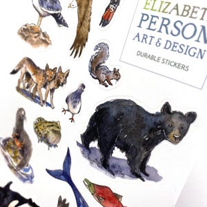 May include: A collection of durable stickers featuring watercolor illustrations of Pacific Northwest animals. Includes a seagull, eagle, woodpecker, squirrel, wolves, pigeon, frog, bear, orca, seal, whale, and salmon. The stickers are designed by Elizabeth Person Art & Design.