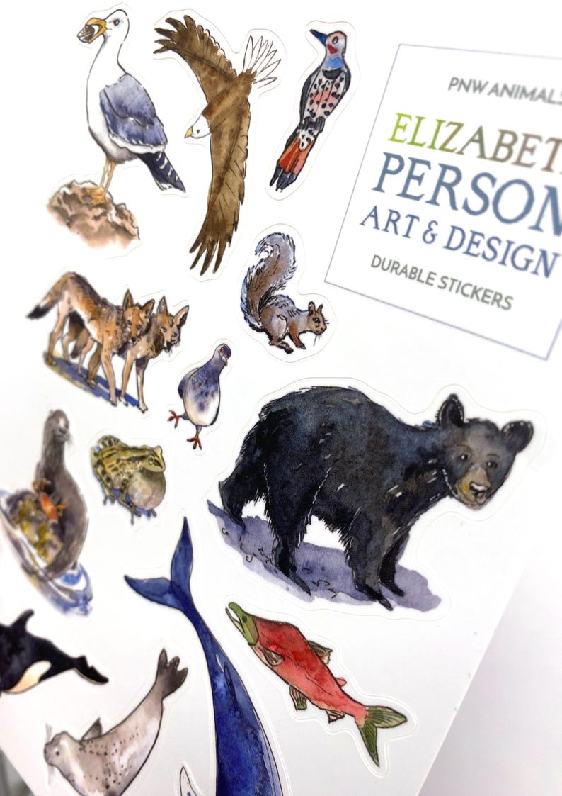 May include: A collection of durable stickers featuring watercolor illustrations of Pacific Northwest animals. Includes a seagull, eagle, woodpecker, squirrel, wolves, pigeon, frog, bear, orca, seal, whale, and salmon. The stickers are designed by Elizabeth Person Art & Design.