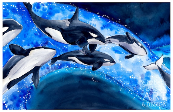 Orca Dreams Limited Edition Orca Whale Print From To Live On Etsy