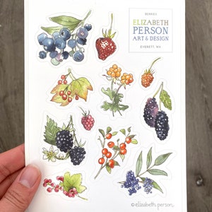 May include: A sheet of stickers featuring various berries and leaves, including blueberries, raspberries, blackberries, and red currants. The stickers are designed by Elizabeth Person Art & Design, Everett, WA.