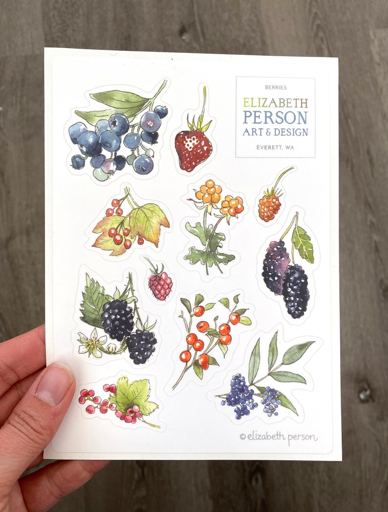 May include: A sheet of stickers featuring various berries and leaves, including blueberries, raspberries, blackberries, and red currants. The stickers are designed by Elizabeth Person Art & Design, Everett, WA.
