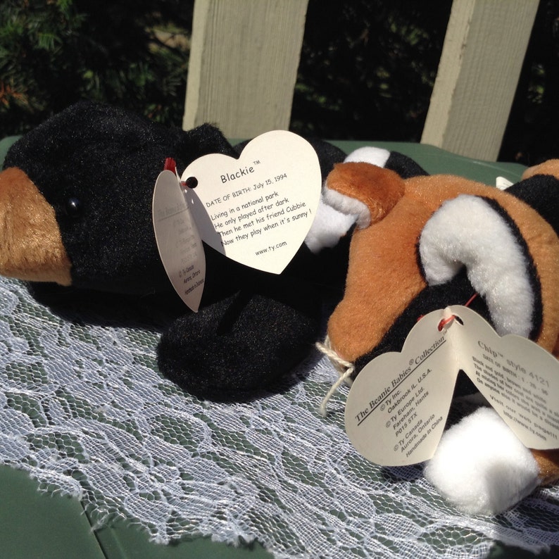 blackie the black bear beanie baby