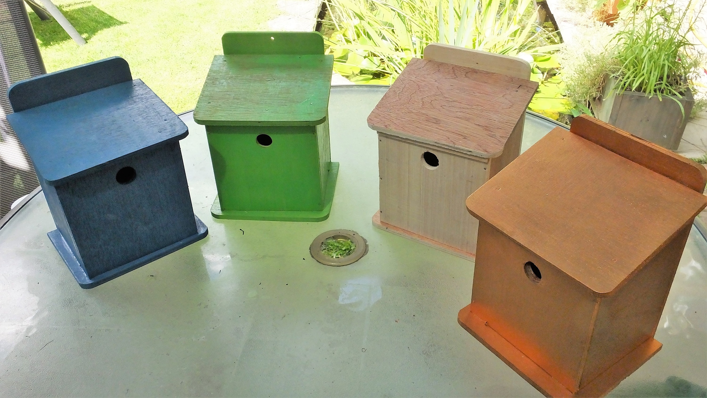 Reject Garden Bird Box in Kit Form for Child to Make at Home Etsy UK